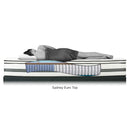 King Koil Sydney Euro Top Mattress (Twin XL) IMAGE 4