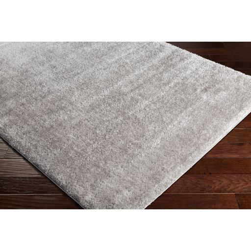 Surya Rugs Rectangle AAS2300-710103 IMAGE 2