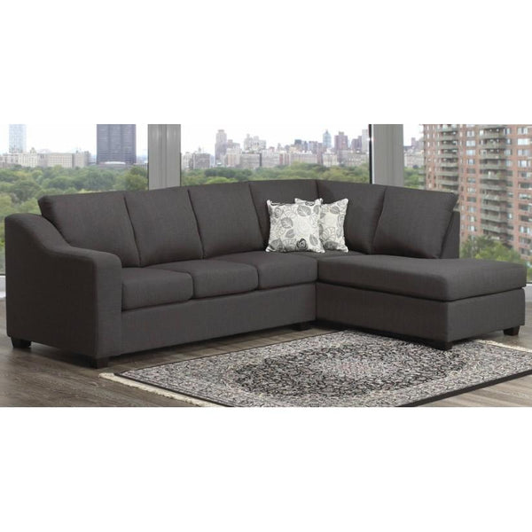 Aman Furniture Fabric 2 pc Sectioanal 2060 2 pc Sectional IMAGE 1