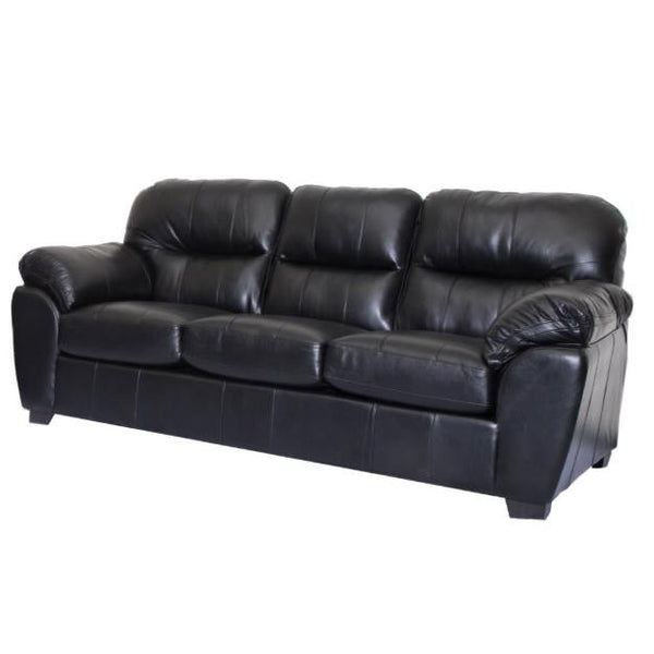 Minhas Furniture 1601 Stationary Leather Sofa AB1601-01 IMAGE 1