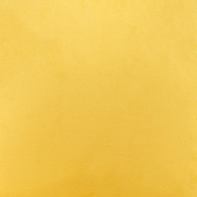  Zuo Piccolo 101091 Dining Chair - Yellow IMAGE 5