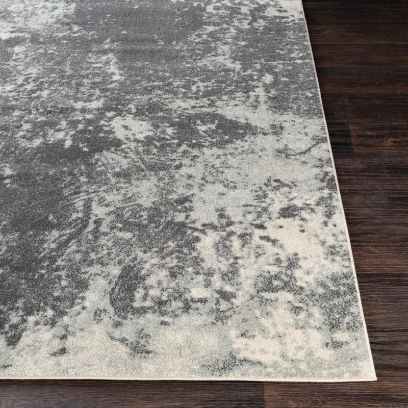 Surya Rugs Rectangle ABE8013-5276 IMAGE 5