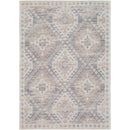 Surya Rugs Rectangle AMS1001-576 IMAGE 1