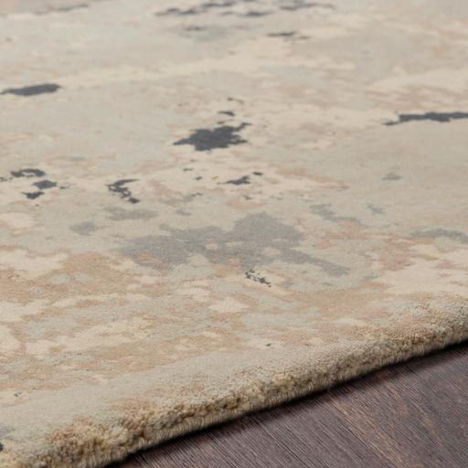 Surya Rugs Rectangle ANM1007-5376 IMAGE 2