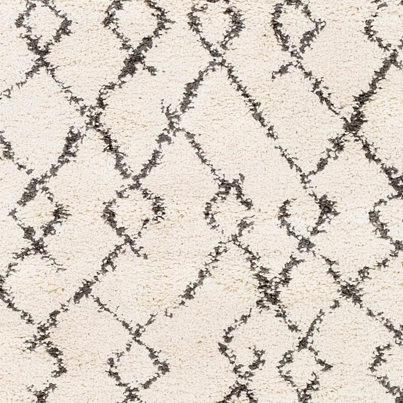 Surya Rugs Rectangle BBE-2301-5373 IMAGE 3