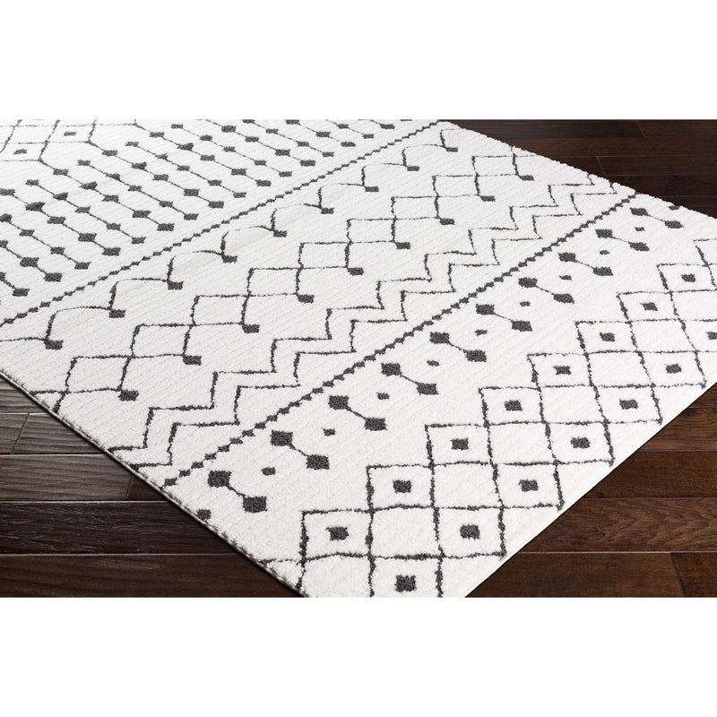 Surya Rugs Rectangle MCS2309-81012 IMAGE 5