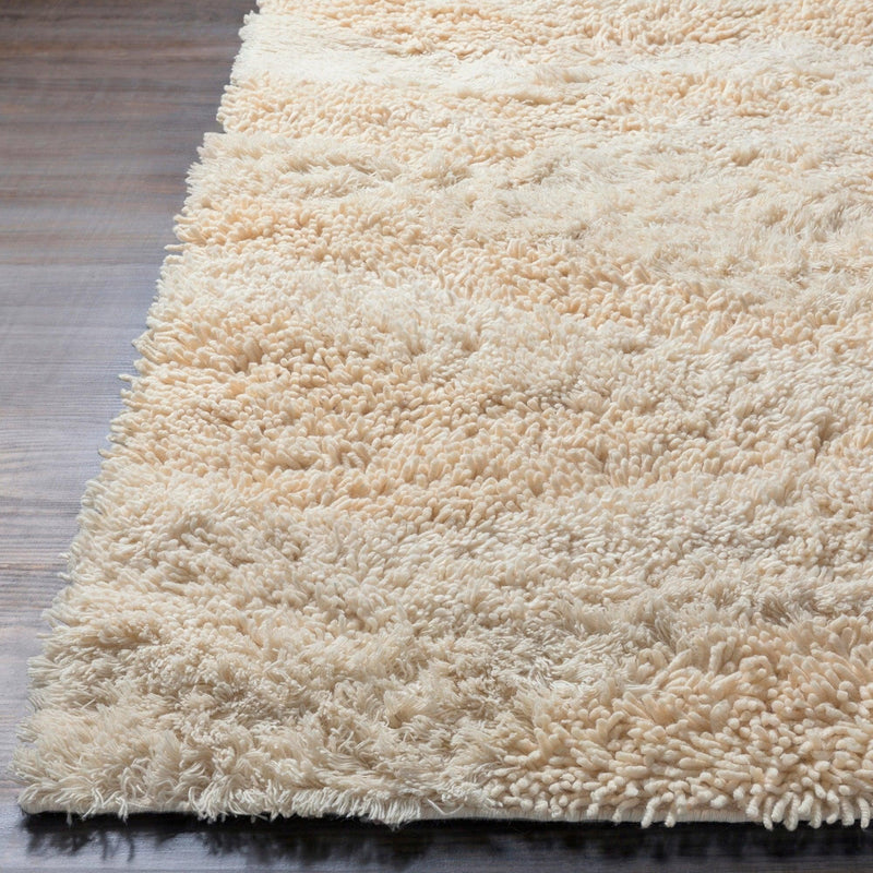 Surya Rugs Rectangle BRK3300-58 IMAGE 10