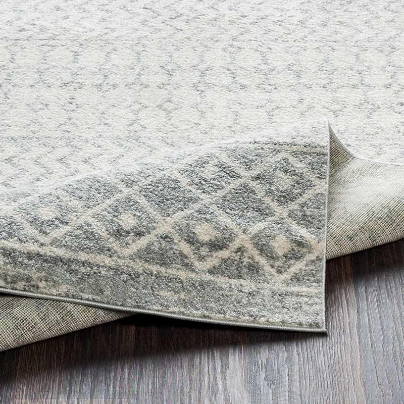 Surya Rugs Rectangle ELZ-2308-5376 IMAGE 3