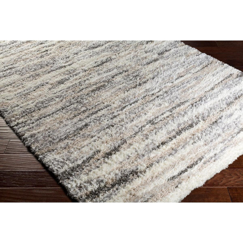 Surya Rugs Rectangle FAF1003-576 IMAGE 3