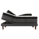 Sealy Response Premium Plush Pillow Top Mattress (Queen) IMAGE 7