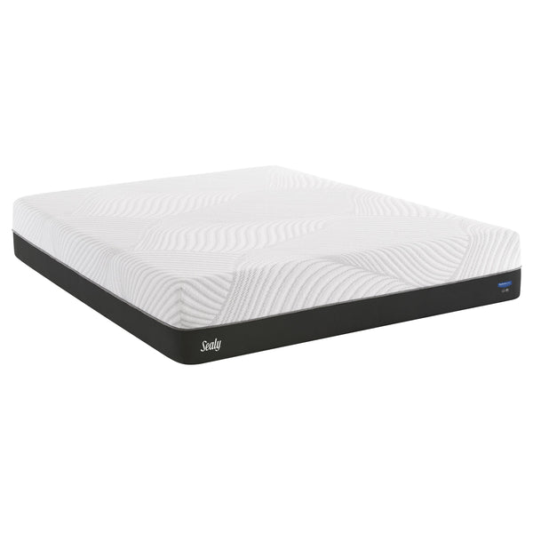 Sealy Conform Performance Firm Mattress (Twin) IMAGE 1