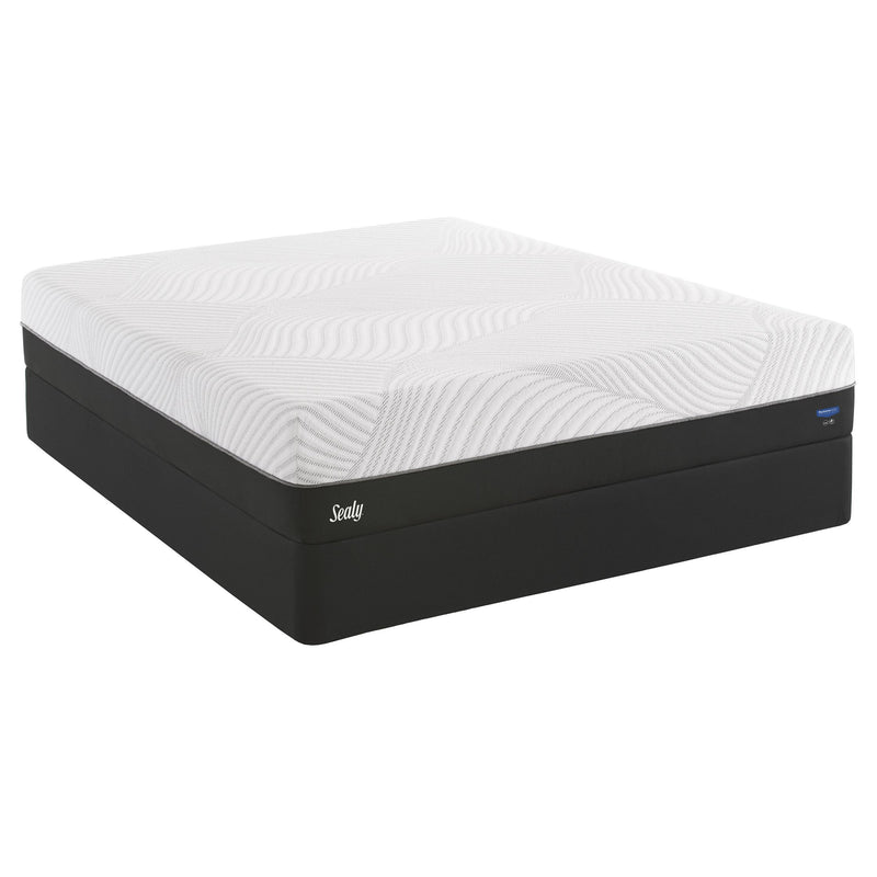 Sealy Conform Performance Plush Mattress (Twin) IMAGE 3