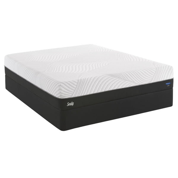 Sealy Conform Performance Plush Mattress Set (King) IMAGE 1