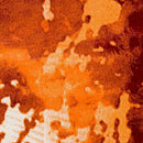 Surya Rugs Rectangle ABE8025-5276 IMAGE 7