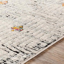 Surya Rugs Rectangle DSM2308-679 IMAGE 5