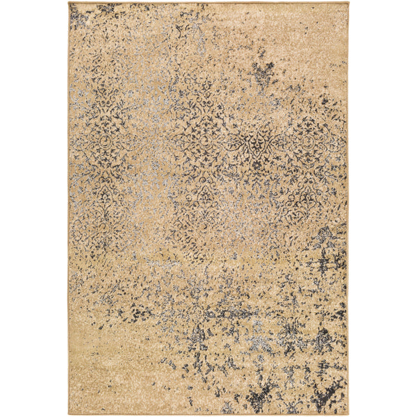 Surya Rugs Rectangle PAR1075-5376 IMAGE 1