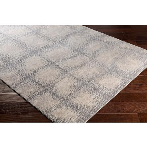 Surya Rugs Rectangle TBT2307-5376 IMAGE 4