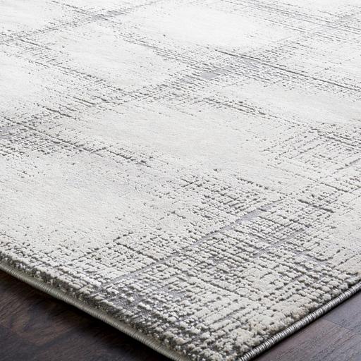 Surya Rugs Rectangle TBT2307-5376 IMAGE 7