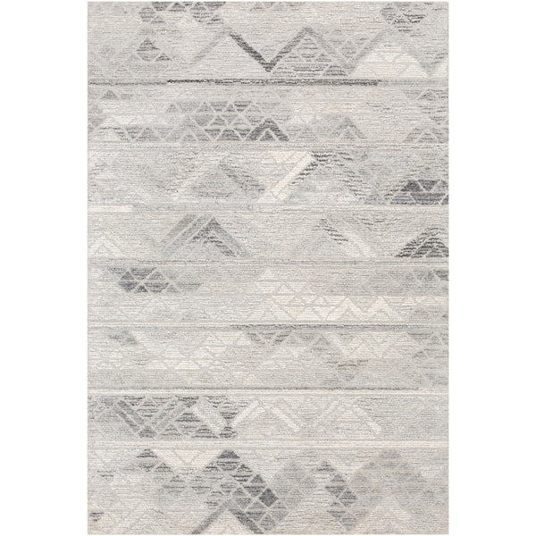 Surya Rugs Rectangle TMO1001-576 IMAGE 1