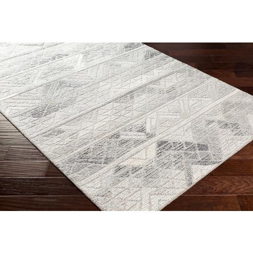 Surya Rugs Rectangle TMO1001-576 IMAGE 2