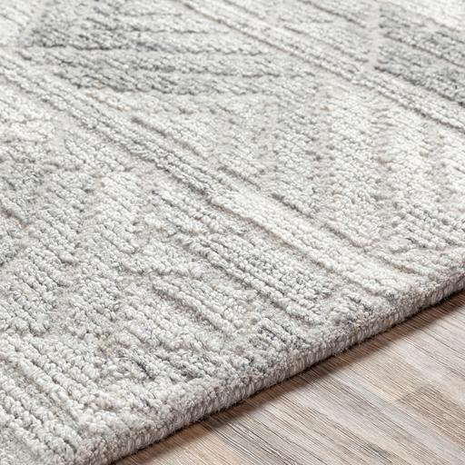 Surya Rugs Rectangle TMO1001-576 IMAGE 5