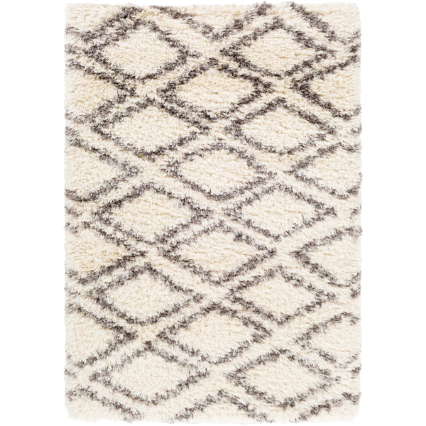 Surya Rugs Rectangle RHA1036-58 IMAGE 1