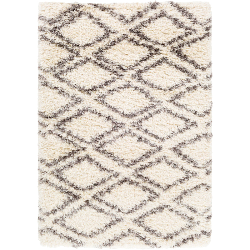 Surya Rugs Rectangle RHA1036-58 IMAGE 1