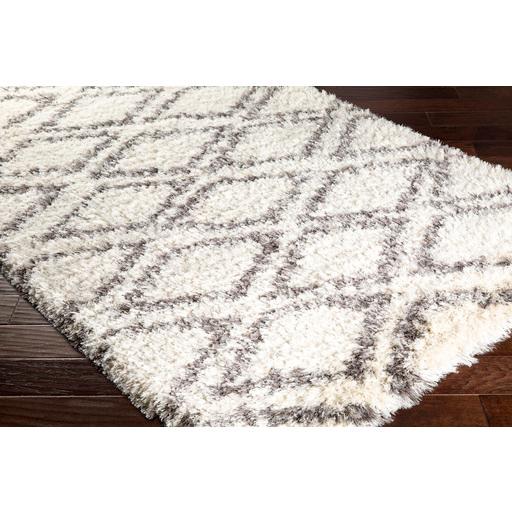 Surya Rugs Rectangle RHA1036-58 IMAGE 6