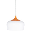 Surya Mccrae Pendant EMC-002 IMAGE 1