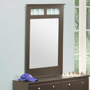 Dynamic Furniture Kids Dresser Mirrors Mirror 471-081 IMAGE 1