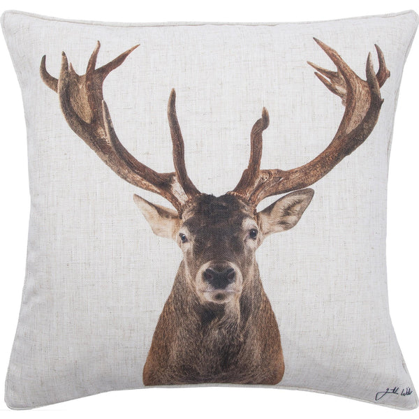 Renwil Decorative Pillows Decorative Pillows PWFL1016 IMAGE 1