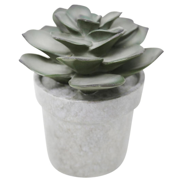 Sagebrook Home Home Decor Artificial Plants 12153-05 IMAGE 1