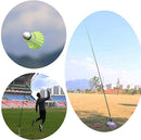 SNRIQ Rebound Badminton Training Aid Rebound Practice Set