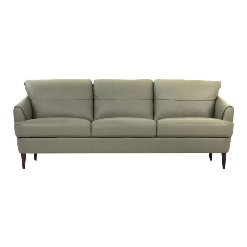 Acme Furniture Helena Stationary Leather Sofa 54570 IMAGE 1