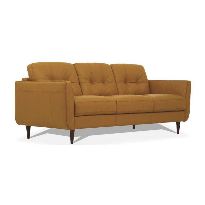 Acme Furniture Radwan Stationary Leather Sofa 54955 IMAGE 2