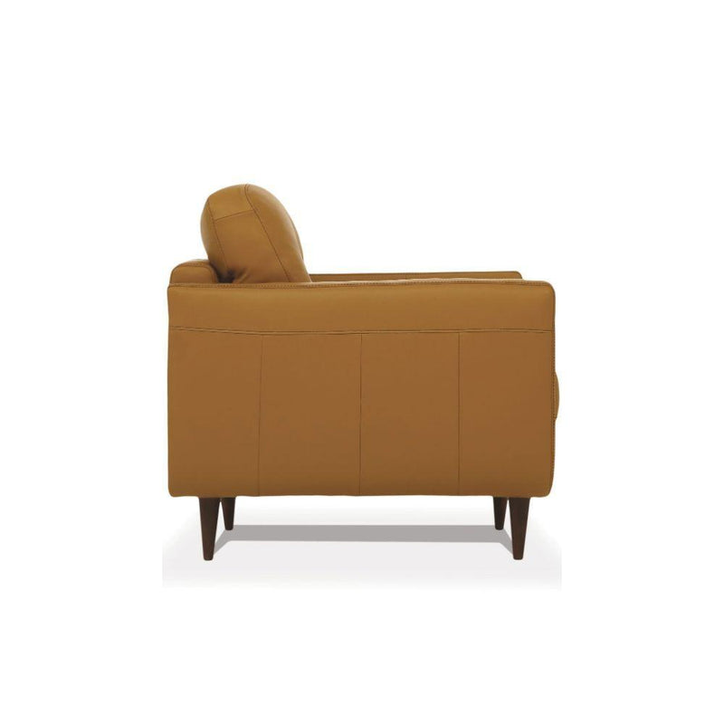 Acme Furniture Radwan Stationary Leather Sofa 54955 IMAGE 3