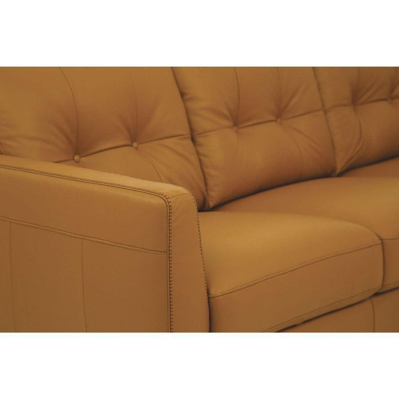 Acme Furniture Radwan Stationary Leather Sofa 54955 IMAGE 4