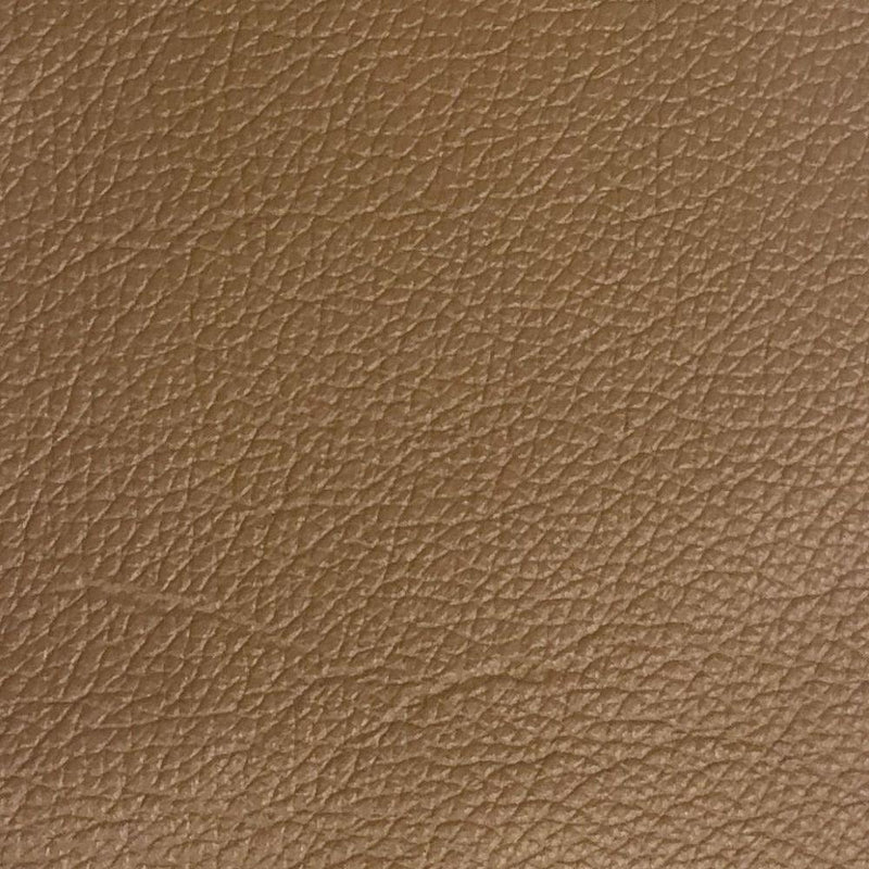 Acme Furniture Radwan Stationary Leather Sofa 54955 IMAGE 5
