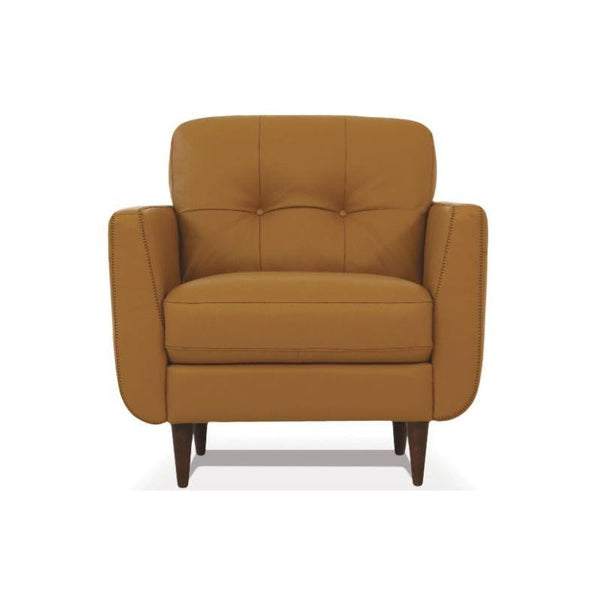 Acme Furniture Radwan Stationary Leather Chair 54957 IMAGE 1
