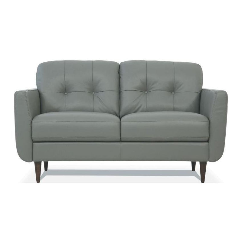 Acme Furniture Radwan Stationary Leather Loveseat 54961 IMAGE 1