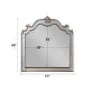 Acme Furniture Esteban 22204 Mirror IMAGE 4