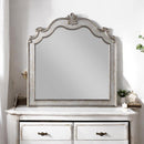 Acme Furniture Esteban 22204 Mirror IMAGE 6