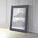 Acme Furniture Dante 24237 Accent Floor Mirror - Grey IMAGE 1