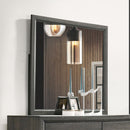 Acme Furniture Valdemar 27054 Mirror IMAGE 1