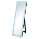 Acme Furniture Nyoka 97714 Floor Mirror (LED) IMAGE 2