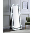 Acme Furniture Noralie 97754 Floorstanding Accent Mirror IMAGE 3