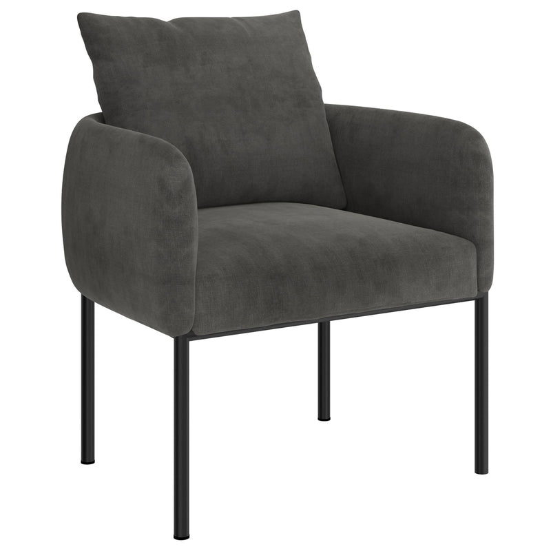 !nspire Petrie 403-556CH/BK Accent Chair - Charcoal and Black IMAGE 1