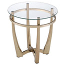 Acme Furniture Orlando II 81612 End Table IMAGE 1