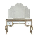 Acme Furniture 22210 Vanity Mirror - Mirrored IMAGE 2