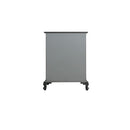 Acme Furniture House Delphine 28836 Chest IMAGE 3